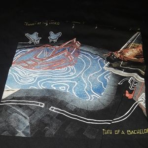 💗 5 for $25 Panic! At the Disco shirt 💗